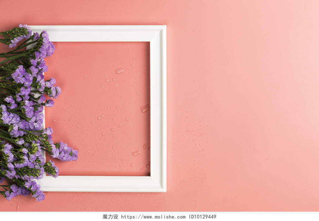 紫色清新勿忘我鲜花背景图片